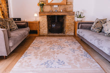  Living room with a fireplace, two sofas, and a patterned rug.